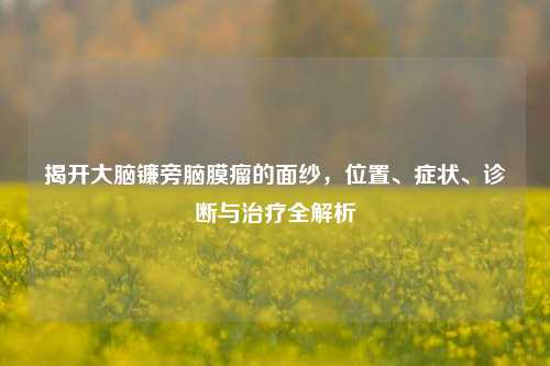 揭开大脑镰旁脑膜瘤的面纱,位置、症状、诊断与治疗全解析