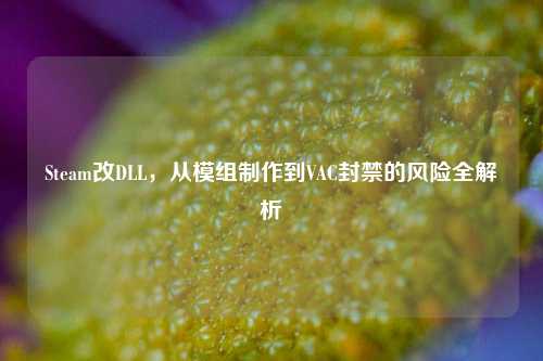 Steam改DLL,从模组制作到VAC封禁的风险全解析