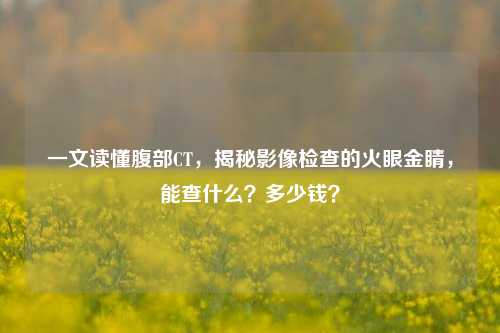一文读懂腹部CT,揭秘影像检查的火眼金睛,能查什么?多少钱?