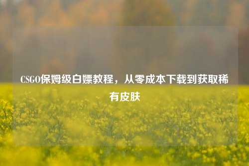 CSGO保姆级白嫖教程,从零成本下载到获取稀有皮肤