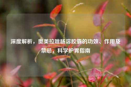 深度解析,奥美拉唑肠溶胶囊的功效、作用及禁忌,科学护胃指南