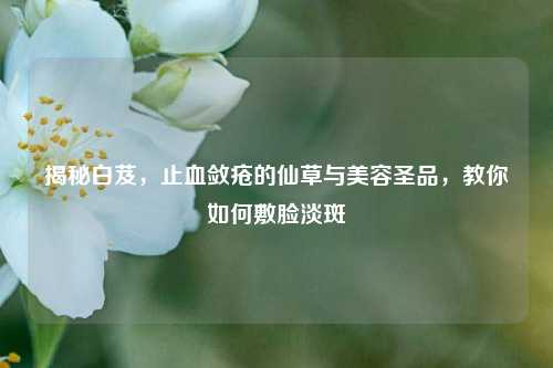 揭秘白芨,止血敛疮的仙草与美容圣品,教你如何敷脸淡斑