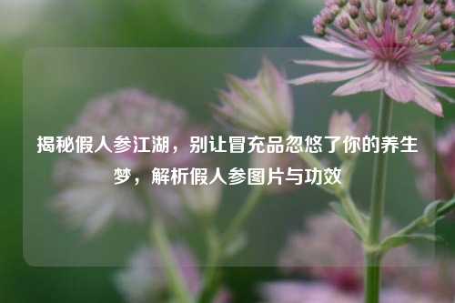 揭秘假人参江湖,别让冒充品忽悠了你的养生梦,解析假人参图片与功效
