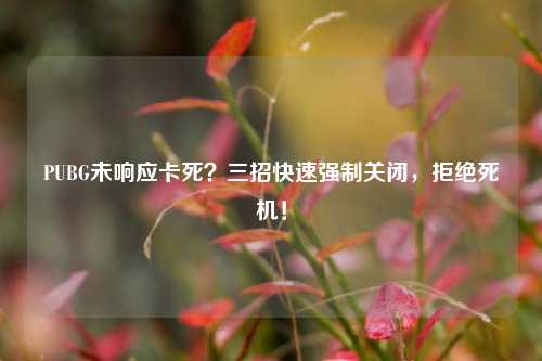 PUBG未响应卡死?三招快速强制关闭,拒绝死机!