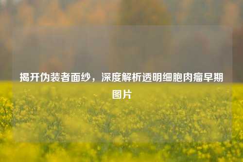 揭开伪装者面纱,深度解析透明细胞肉瘤早期图片