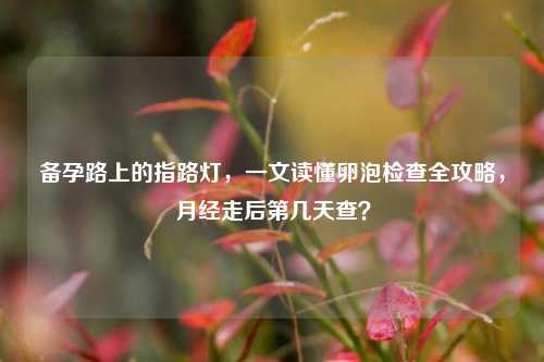 备孕路上的指路灯,一文读懂卵泡检查全攻略,月经走后第几天查?